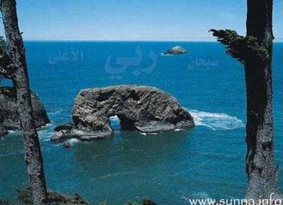 ya rab 